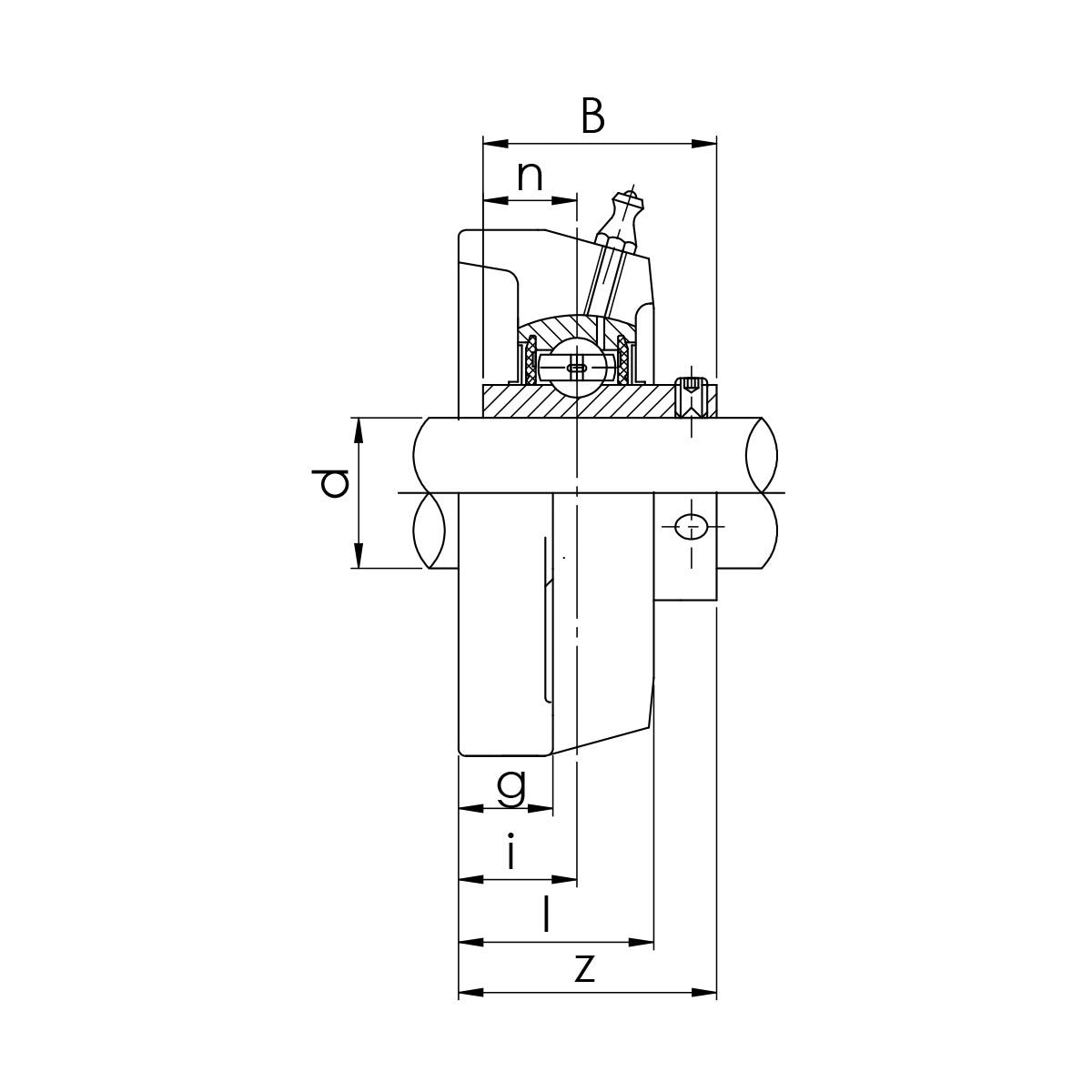 UCFL 206